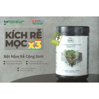 Nấm rễ cộng sinh Ultrafine Mycorrhizae tăng cường bộ rễ