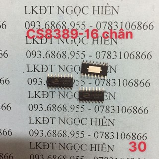 Ic dánn cs8389