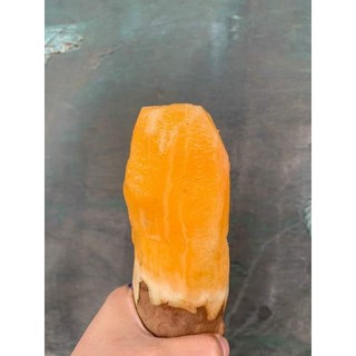 Củ sâm đất vùng cao tây bắc giá 1kg