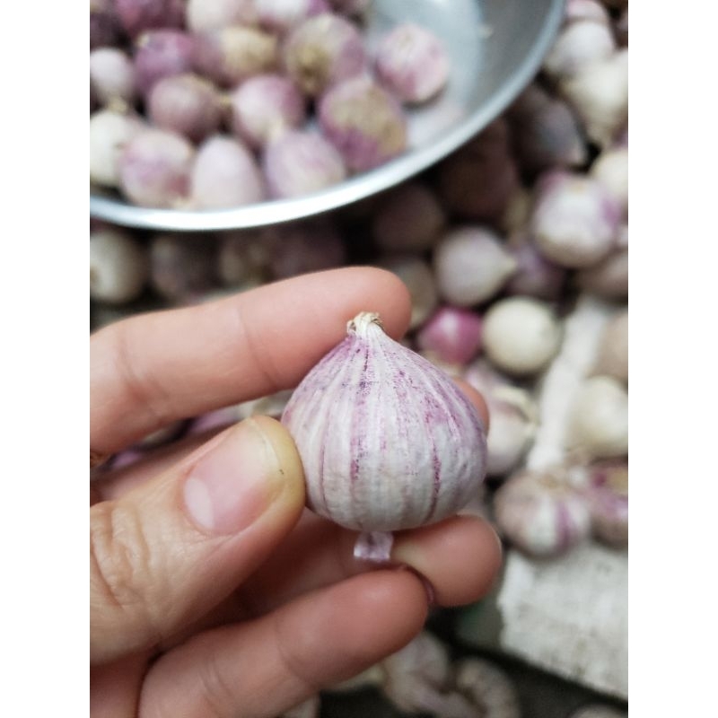 350g tỏi cô đơn loại 1