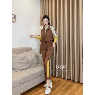bộ chọn màu ib