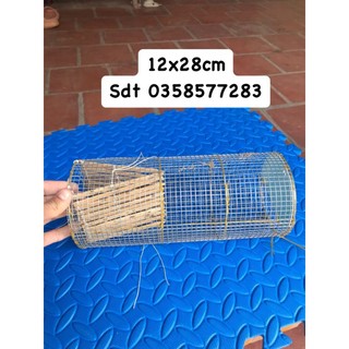 bẫy 🐸ếch 🐸🐸