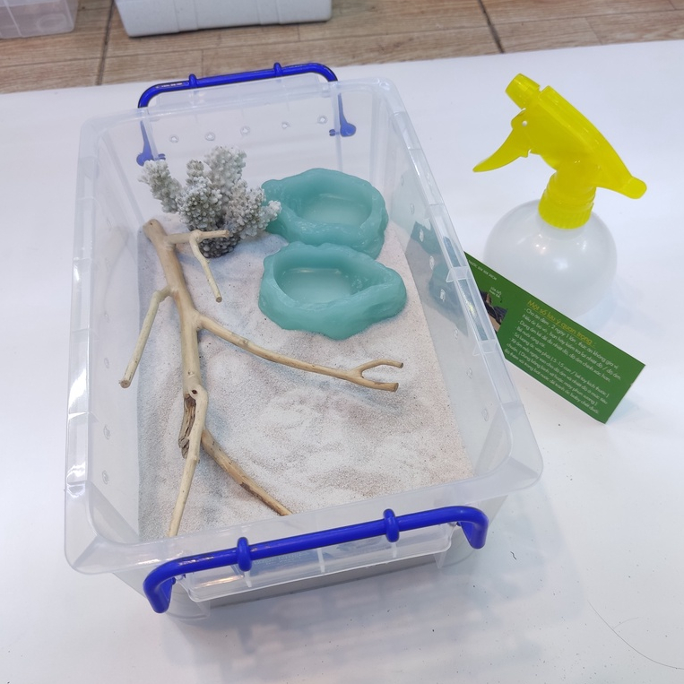 Bát ăn chén nước chén ăn cho bò sát ốc mượn hồn