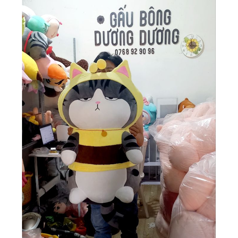 Gấu bông mèo hoàng thượng, gấu bông mèo hoàng thượng cosplay ong, gaua bông cho hoàng thượng cosplay ong.