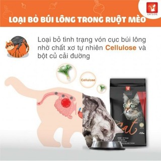 Hạt Cateye cho mèo 1KG