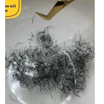 Mi fan xưởng 3d silk mềm (C007, Cc007,  D007 .1000fan)