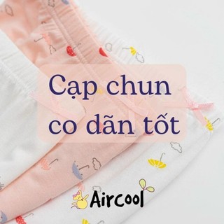 SET QUẦN CHIP AIRCOOL 3 CÁI