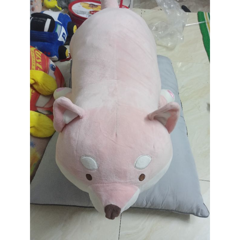 gấu bông cún siba miniso size 70-80cm