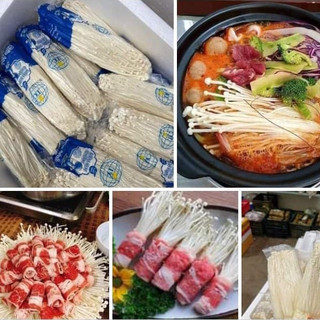 nấm kim châm thả lẩu/nướng (sỉ)❤️Tmart - Thực phẩm sạch
