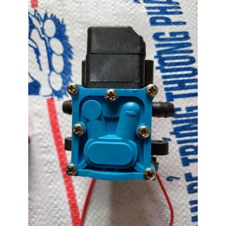 Đầu moto bơm mini 12v
