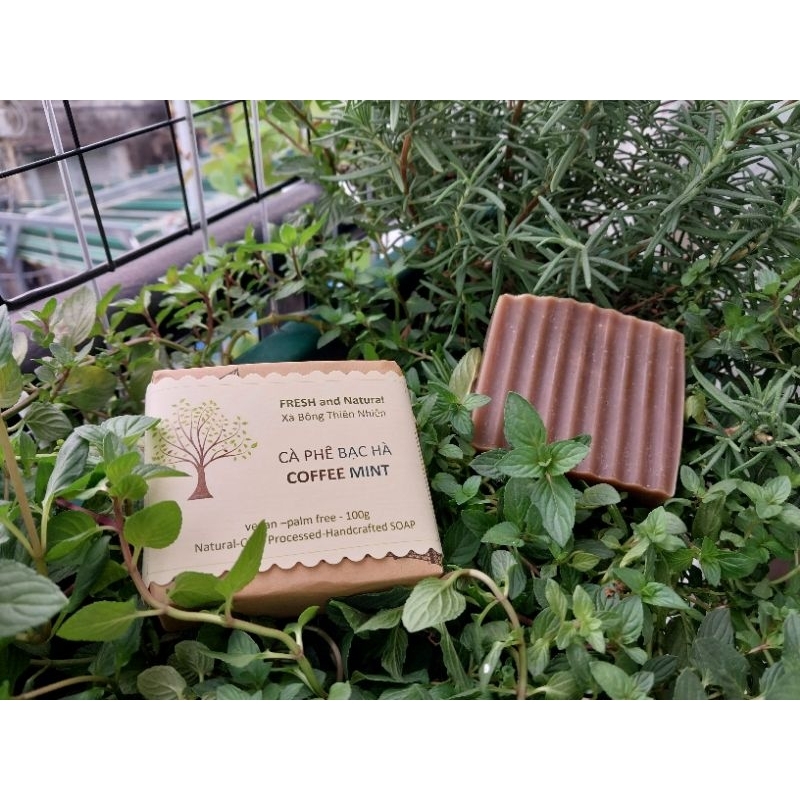 XÀ BÔNG CÀ PHÊ BẠC HÀ / MINT COFFEE SOAP