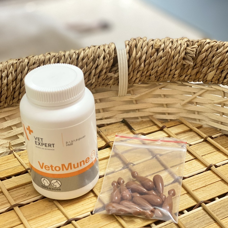 -Vet Expert Vetomune - Viên hỗ trợ miễn dịch tăng đề kháng cho chó mèo Vet Expert Vetomune
