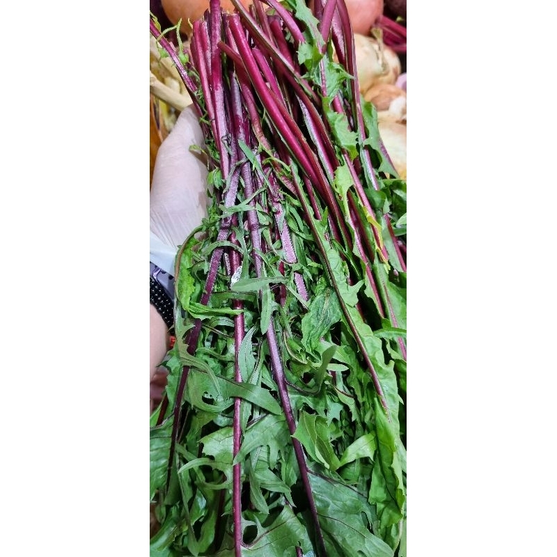 Bồ công anh tím hữu cơ Đà Lạt (gói 500gr)