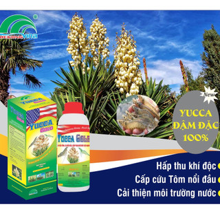 Sản phẩm YUCCA GOLD Cấp Cứu tôm cá Nổi Đầu Cấp Tốc hấp thụ khí độc thiếu oxy trong ao nuôi
