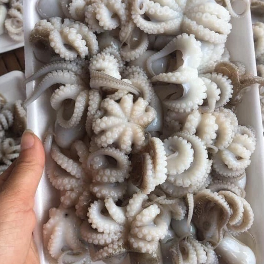 Tuộc sữa mini làm sạch khay 500g