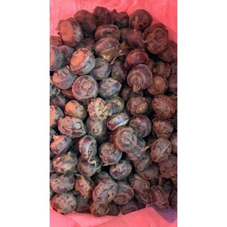 Củ mã thầy - củ năng tươi 1kg
