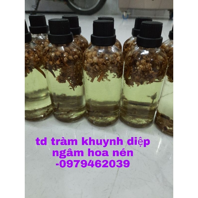 DẦU TRÀM KHUYNH DIỆP NHÀ NẤU TINH CHẤT HOA NÉN ( thời gian ngâm 42 tháng)