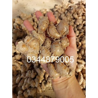 bột sa cương (bột xá kén, bột sa khương, bột địa liền) 500g
