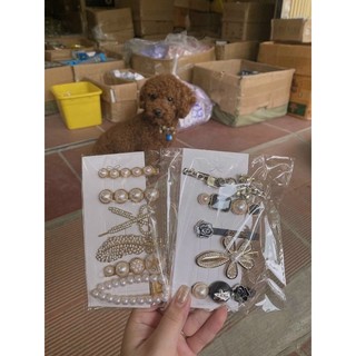 Set 5,6 Kẹp Tóc Tiểu Thư Sang Chảnh