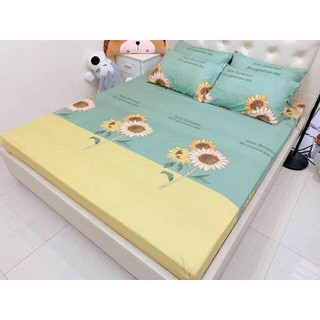 [SALES] SET 3 MÓN GA (DRAP) + GỐI POLY COTTON TRƠN 1M6, 1M8