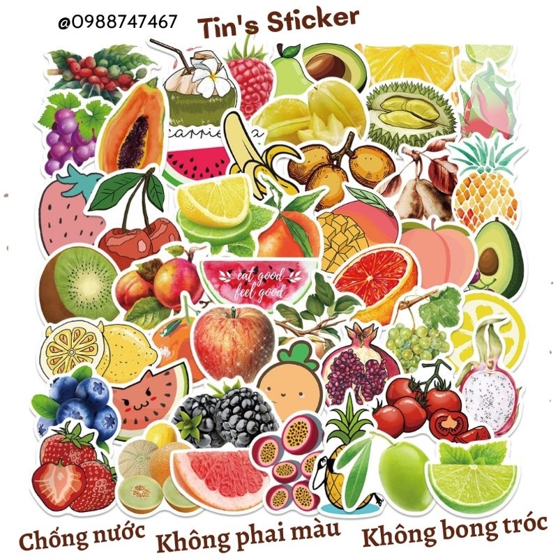 Set combo 50 miếng dán sticker trái cây fruits dán nón mũ bảo hiểm laptop vali sổ tay đàn guitar điện thoại tủ lạnh