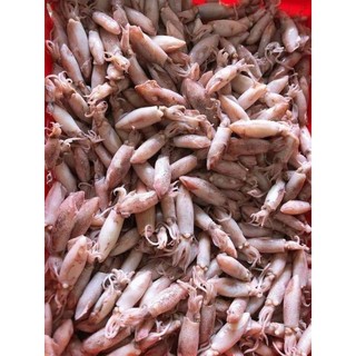 Ship hn _ hộp 500g mực sim hấp sơ