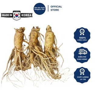 1Kg Sâm Tươi Hàn Quốc 6 Năm Tuổi Nguyên Củ Đủ Size - Ganghan Vina