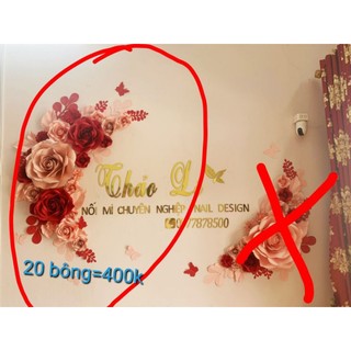 Set hoa giấy backdrop
