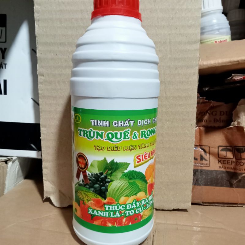 TRÙM QUẾ -RONG BIỂN thúc đẩy ra rễ,to củ, lớn quả,xanh lá, cây sinh trưởng nhanh, thúc đẩy ra hoa, đậu quả... chai 1litd