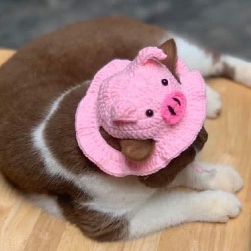Mũ lợn con handmade cho thú cưng