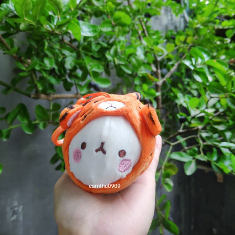 Gấu bông molang,thỏ bông molang đáng yêu nhiều mẫu