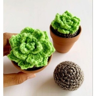 chậu hoa sương rồng len handmade