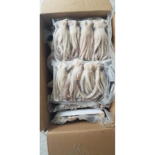 ĐẦU MỰC ỐNG. net 6 (giao nhanh)