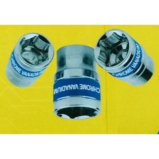 Đầu típ nhiều số 1/2 x3 cái