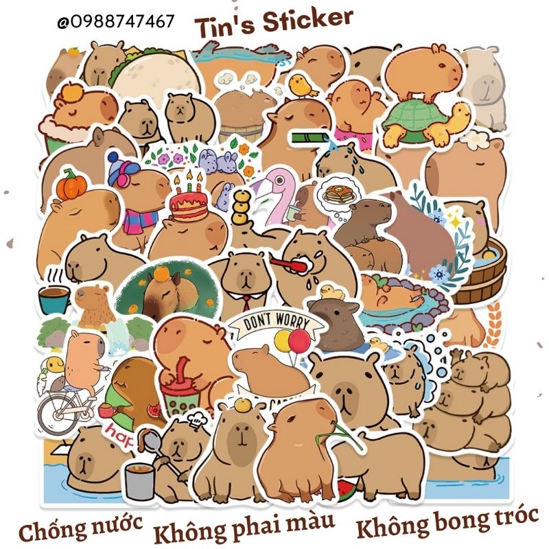 Set combo 50 miếng dán sticker Capybara dán nón mũ bảo hiểm laptop vali sổ tay đàn guitar điện thoại tủ lạnh xe máy
