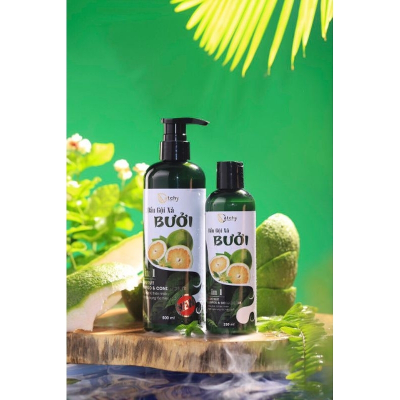 DẦU GỘI XẢ BƯỞI CATCHY 2IN1 ( Kèm 1 sữa tắm 100ml )