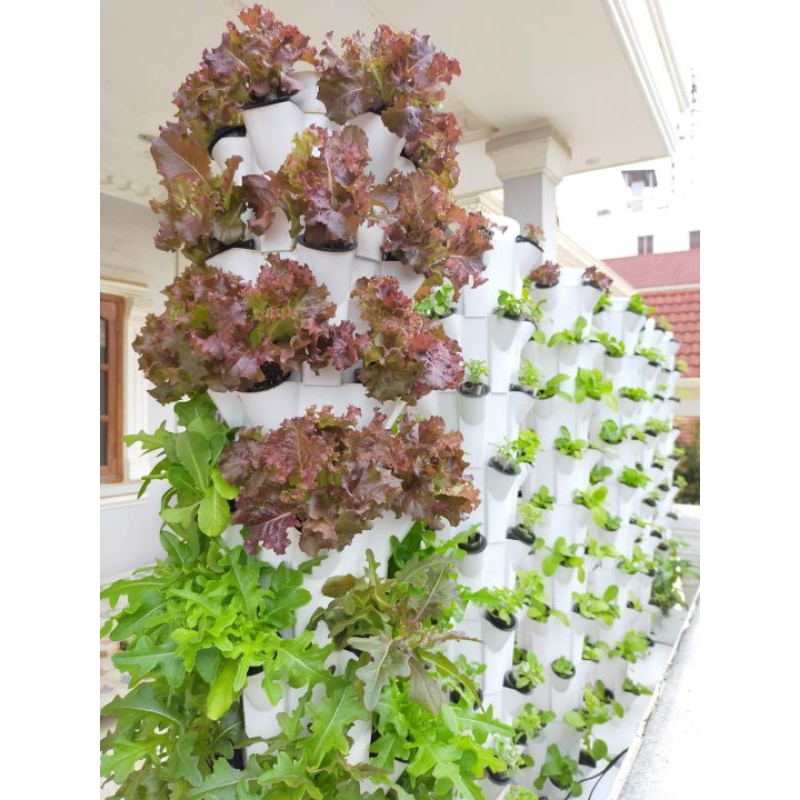 Trụ trồng rau thủy canh