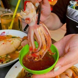 ĐẦU MỰC ỐNG. net 6 (giao nhanh)