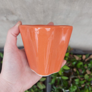 Chậu trồng cây: chậu vuông loe
