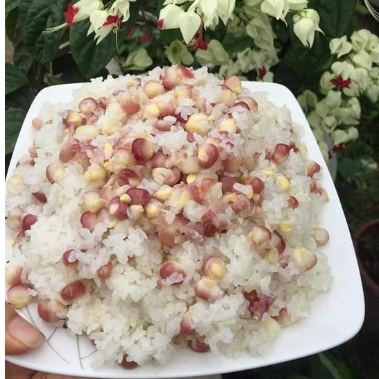 Ngô nếp nương tím bung Điện Biên 1kg❤️giá tại xưởng❤️ Tmart- thực phẩm sạch