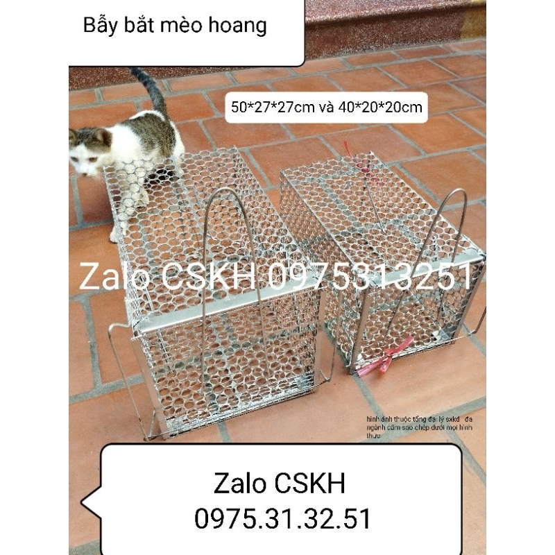 Bẫy mèo hoang chồn sóc động vật thép dày