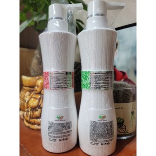 Dầu Cặp Cao Cấp Cazoova