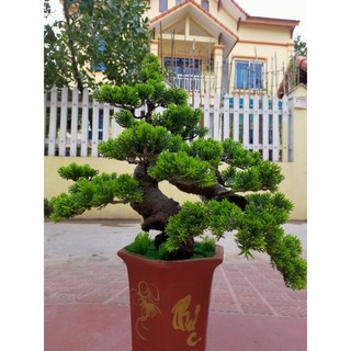 Cây giả decor cây Tùng bonsai giả trang trí nhà cửa sân vườn trang trí tiểu cảnh đẹp
