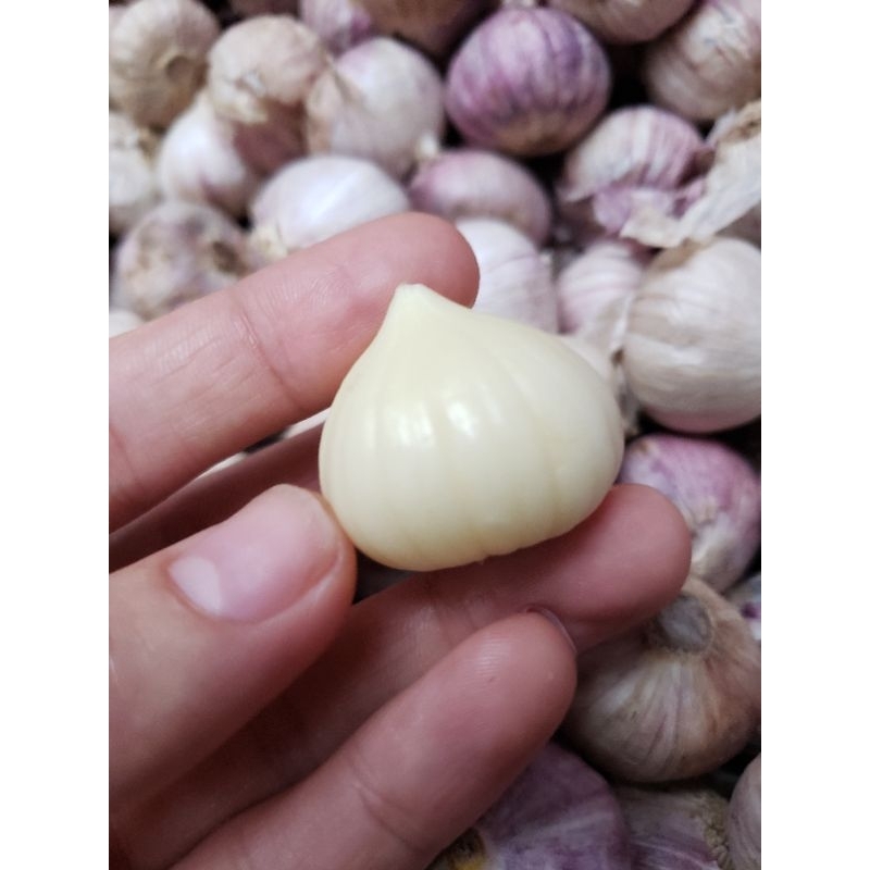 Tỏi cô đơn loại 1 chọn làm tỏi đen 1kg