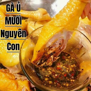 GÀ Ủ MUỐI _ NGUYÊN CON _ NỮA CON