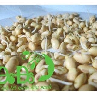 Bột Mầm Đậu Nành Đô Đô