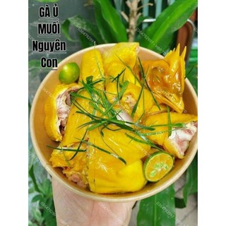 GÀ Ủ MUỐI _ NGUYÊN CON _ NỮA CON
