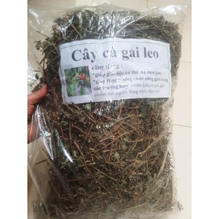 1kg cà gai leo sấy khô loại 1