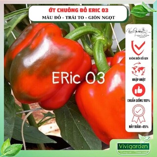 Gói 10 hạt giống ớt chuông ớt ngọt đỏ Eric 03 F1 (tên cũ Nemrut F1) Đồng Tâm nhập Chile ngon ngọt và sai quả