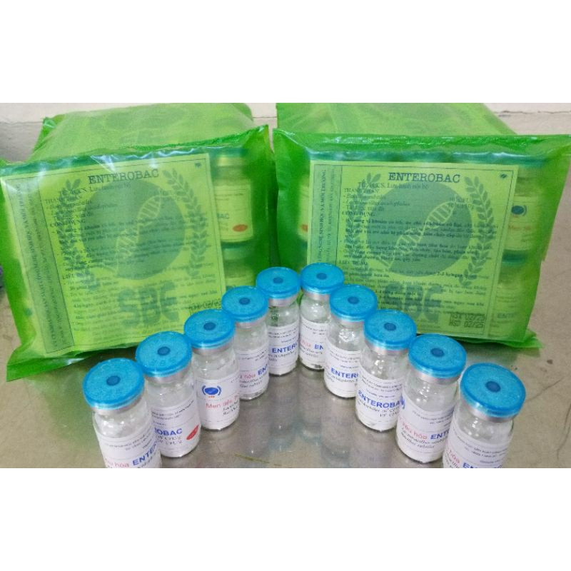 MEN TIÊU HÓA ENTEROBAC
